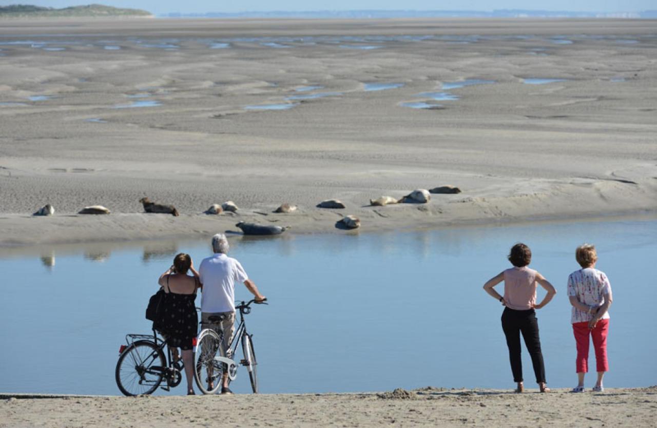 Surf Vue Mer 100M Plage Berck Esterno foto